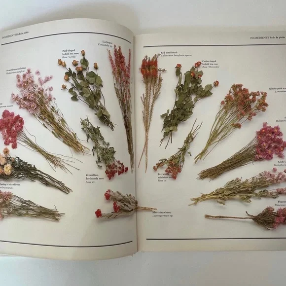 Vintage 80s Dried Flowers Floral Book DIY - Picture 4 of 9